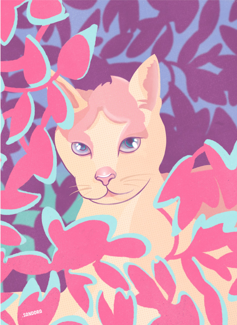 Cat_illustration
