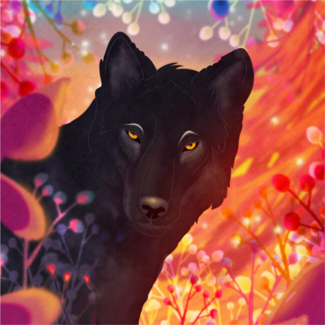 Black Wolf_Illustration_work