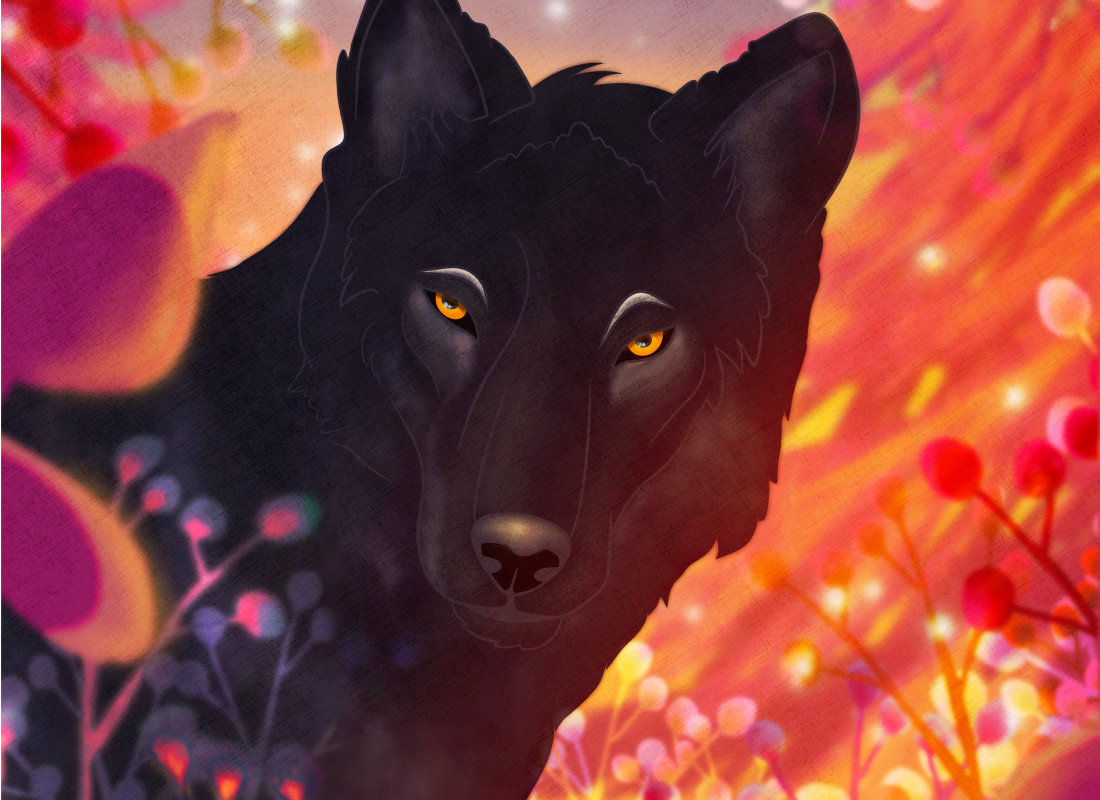 Black Wolf_illustration_small